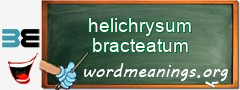 WordMeaning blackboard for helichrysum bracteatum